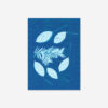 Solar cyanotype fotopapier 20 vel 19x14cm