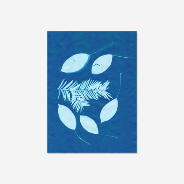 Solar cyanotype fotopapier 20 vel 19x14cm