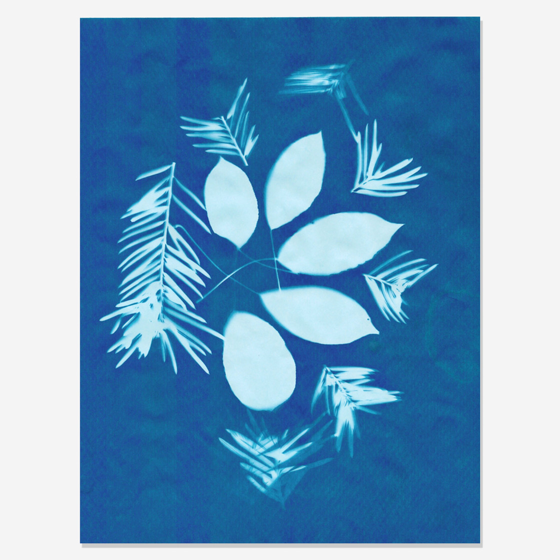 Solar cyanotype fotopapier 10 vel 28x21,5cm